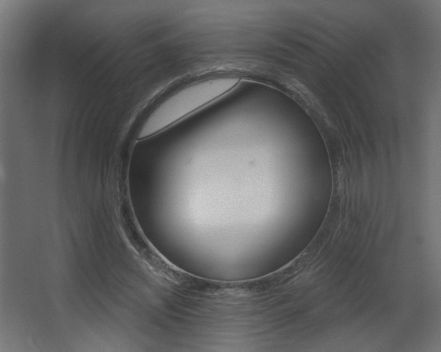 X0000068300444200604211015