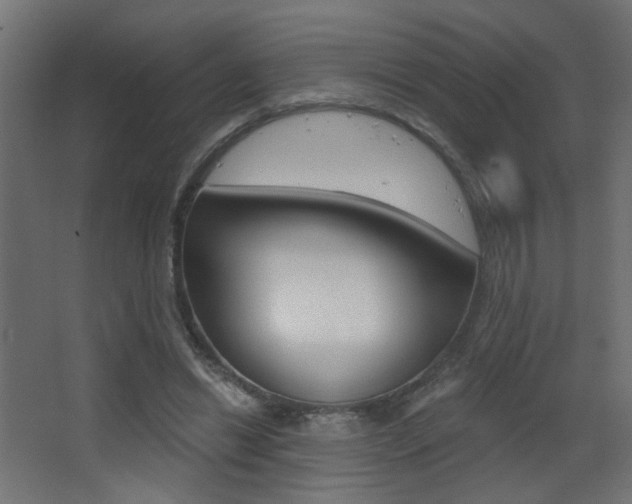 X0000068300446200604211015