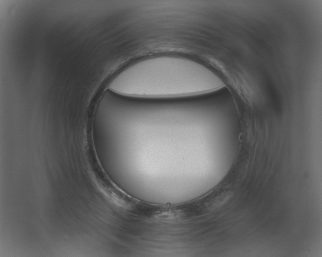 X0000068300447200604211015