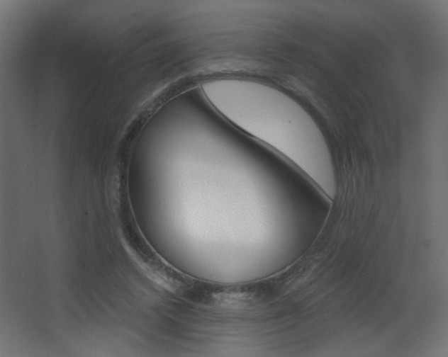 X0000068300448200604211015
