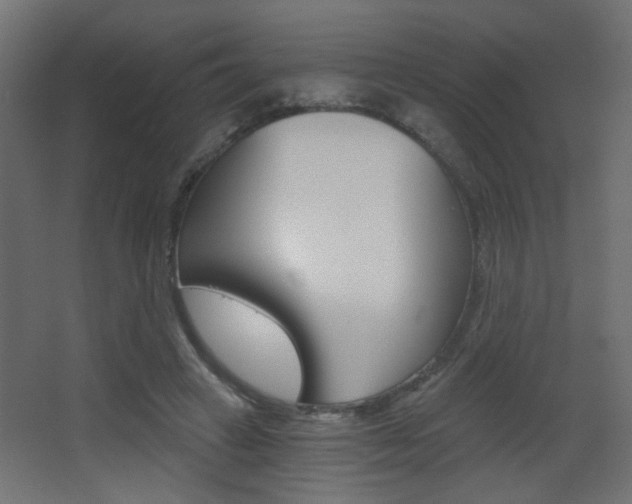 X0000068300449200604211015