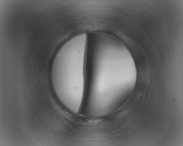 X0000068300450200604211015