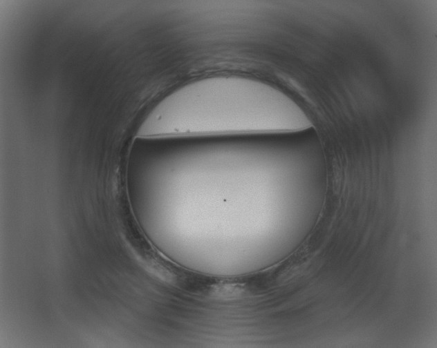 X0000068300451200604211015