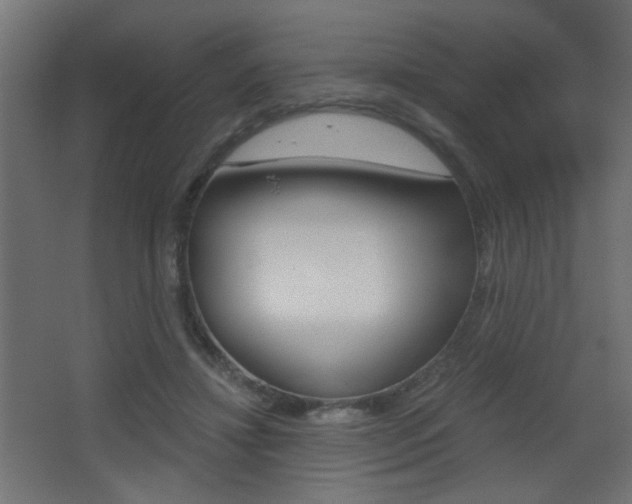 X0000068300452200604211015