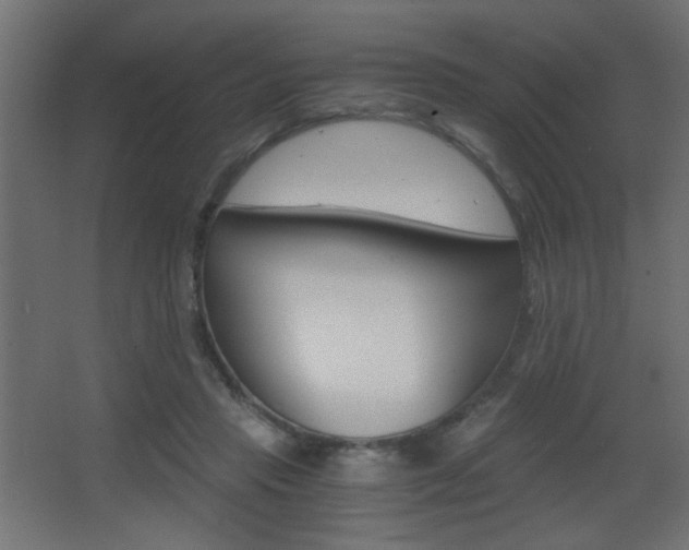 X0000068300453200604211015