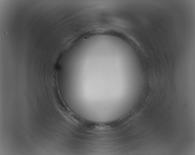 X0000068300455200604211015