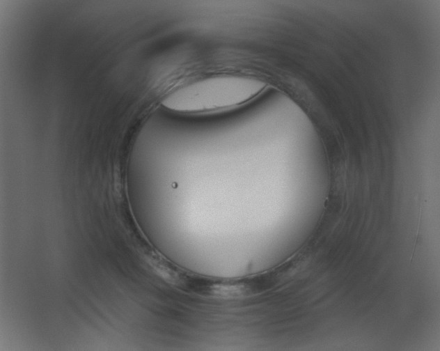 X0000068300457200604211015