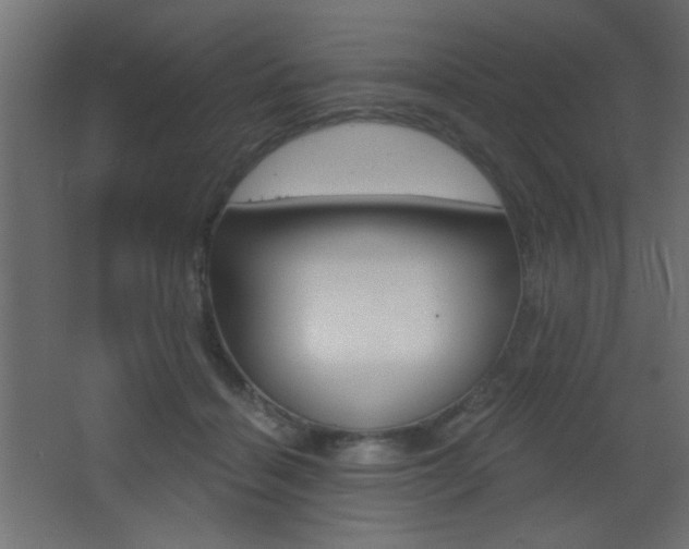 X0000068300460200604211015