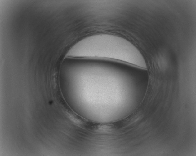 X0000068300462200604211015