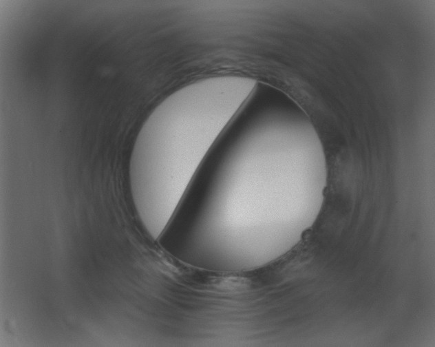 X0000068300463200604211015