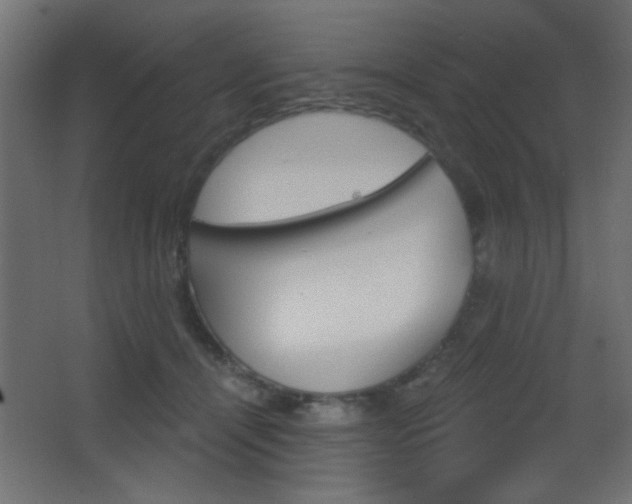 X0000068300464200604211015