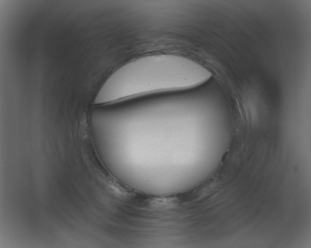 X0000068300465200604211015