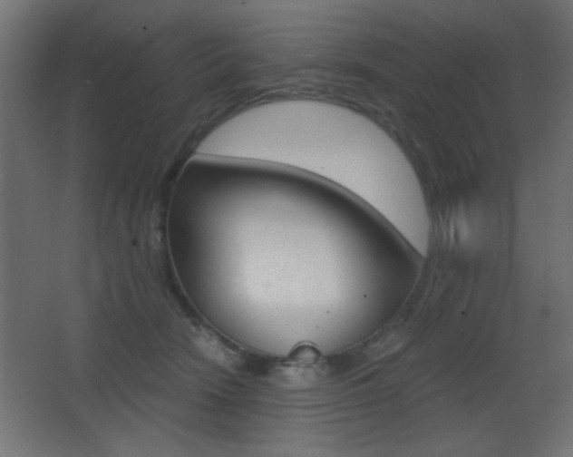 X0000068300466200604211015