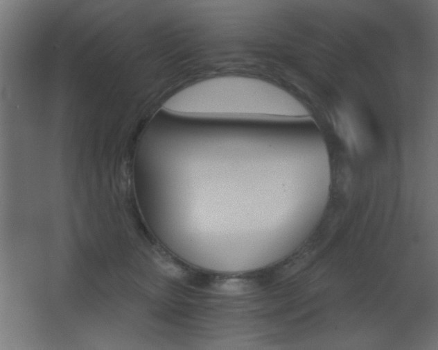 X0000068300467200604211015