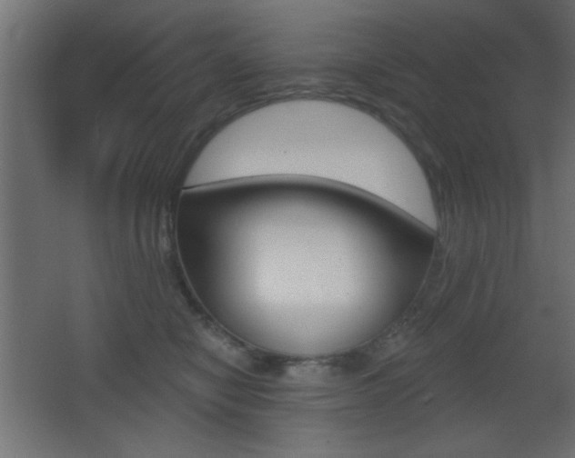 X0000068300470200604211015