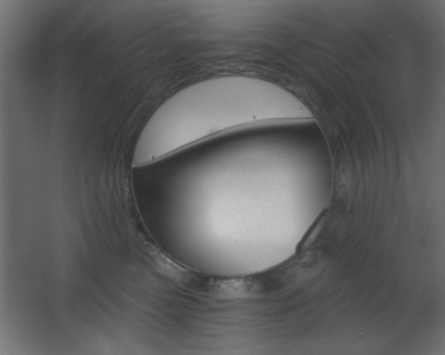 X0000068300473200604211015