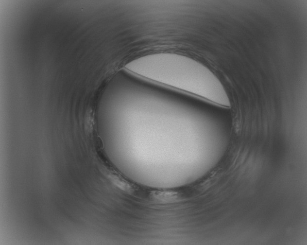 X0000068300476200604211015