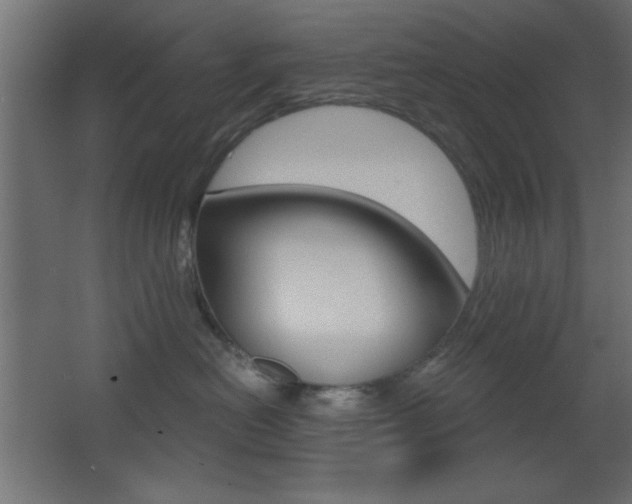X0000068300478200604211015