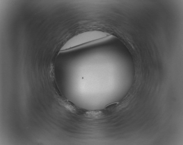 X0000068300480200604211015