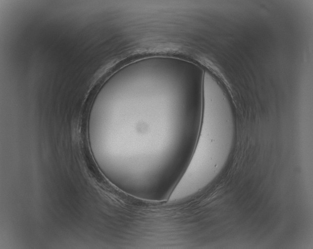 X0000068300483200604211015