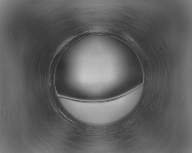 X0000068300484200604211014