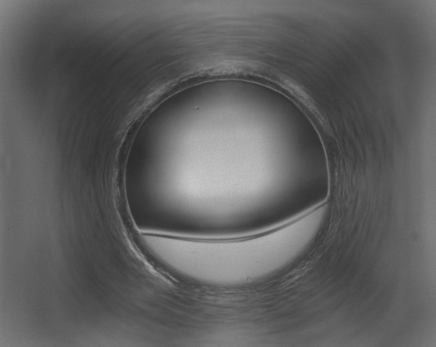 X0000068300485200604211014