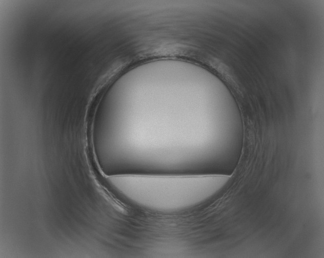 X0000068300486200604211014