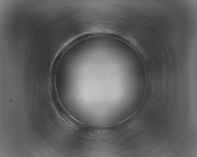 X0000068300488200604211014