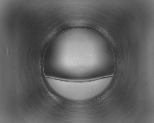 X0000068300489200604211014