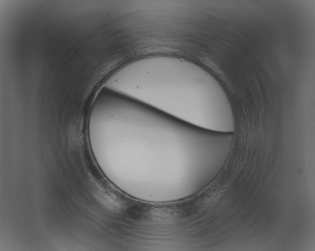 X0000068300490200604211014