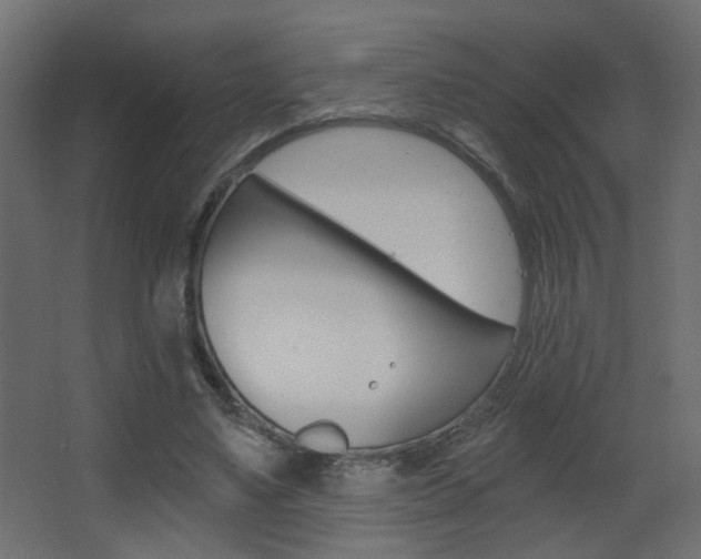 X0000068300491200604211014