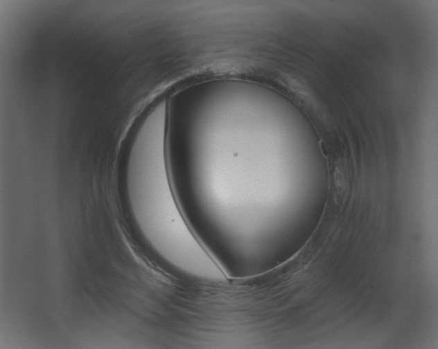 X0000068300492200604211014