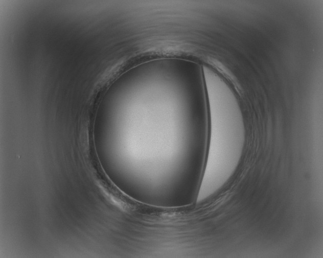 X0000068300493200604211014