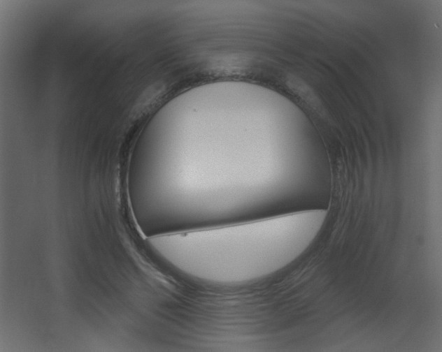 X0000068300494200604211014