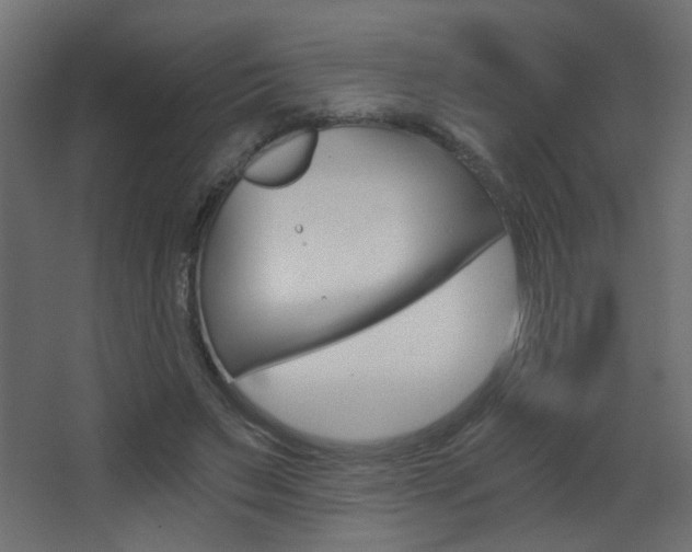 X0000068300495200604211014