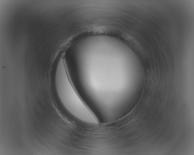 X0000068300496200604211014