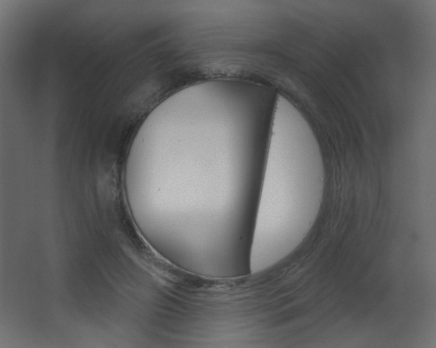 X0000068300498200604211014