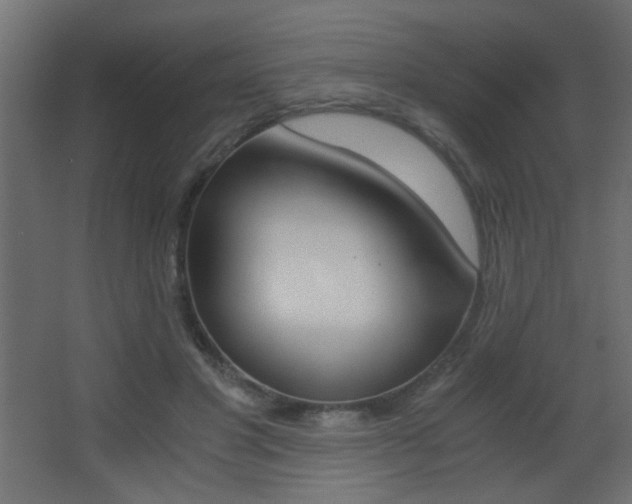 X0000068300501200604211014