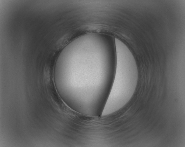 X0000068300504200604211014