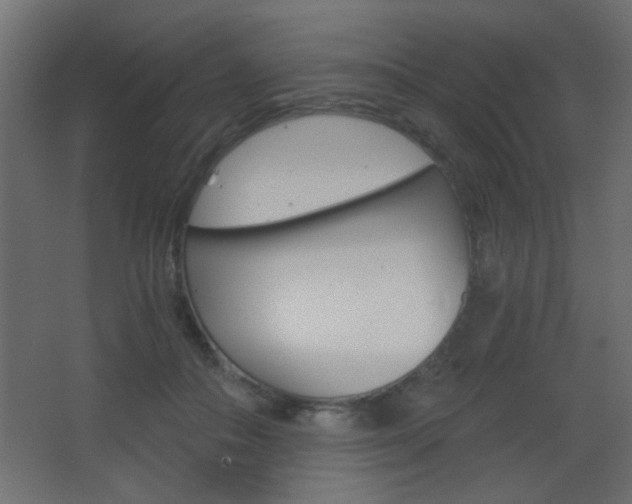 X0000068300506200604211014