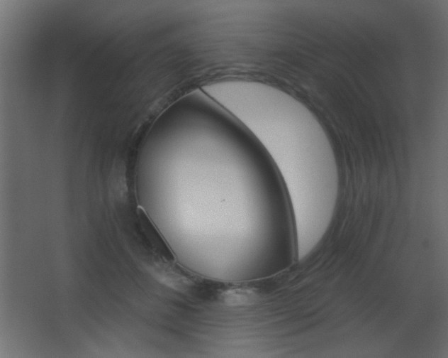 X0000068300508200604211014