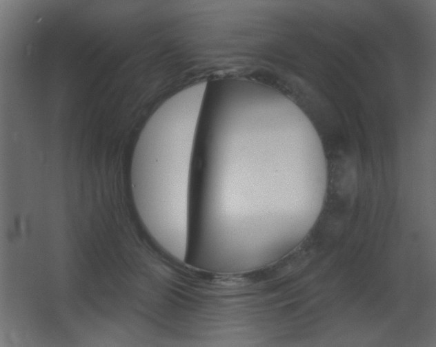 X0000068300510200604211014