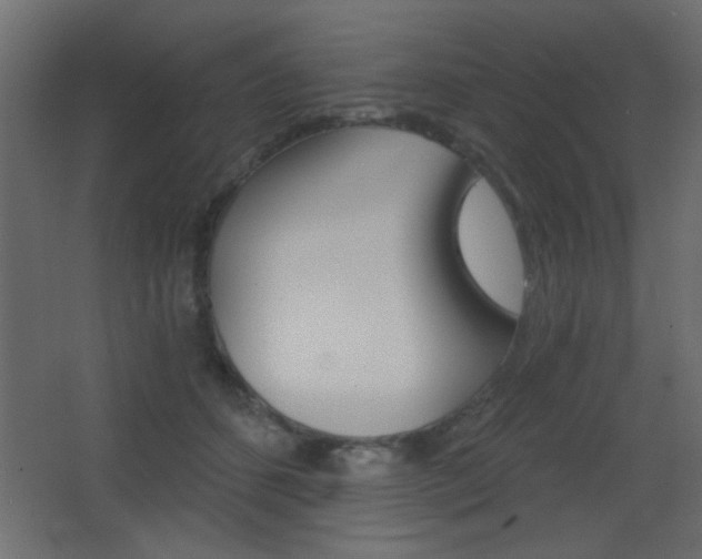 X0000068300512200604211014