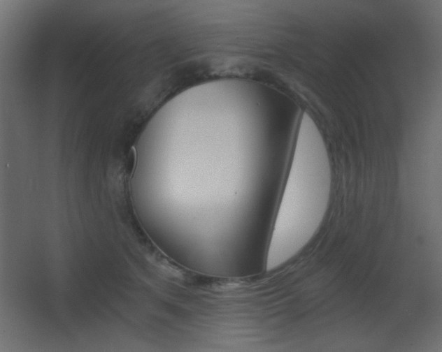 X0000068300513200604211014