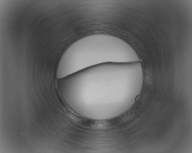 X0000068300514200604211014