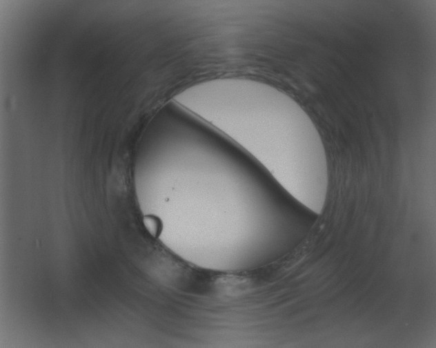 X0000068300515200604211014