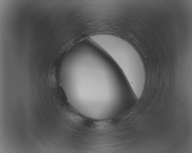 X0000068300516200604211014
