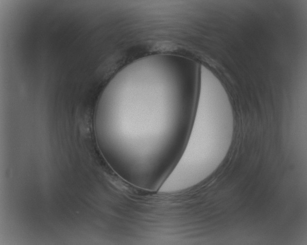 X0000068300517200604211014