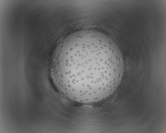 X0000068300519200604211014