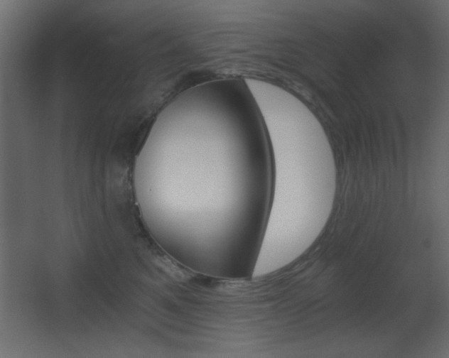 X0000068300521200604211014